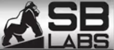 sblabseroids.org